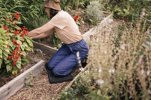 Nareszcie nadszedł czas zbiorów w ogrodzie - sprawdzamy narzędzia, które ułatwią nam prace w warzywniku